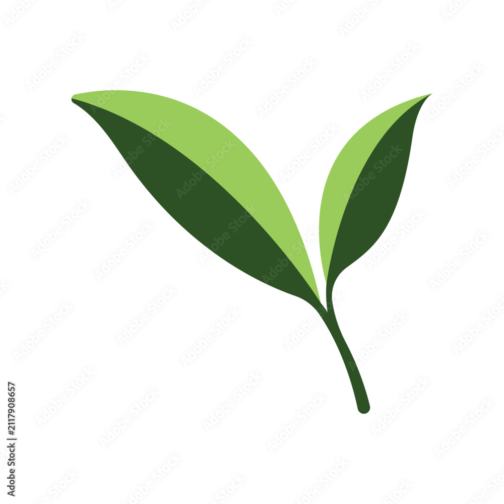 Fototapeta premium green leaf creative abstract modern logo