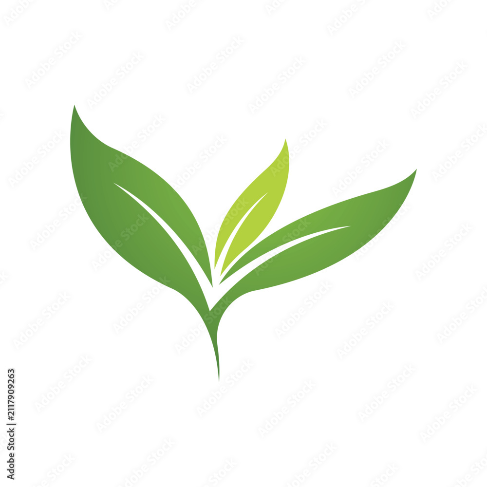 Fototapeta premium green leaf creative abstract modern logo
