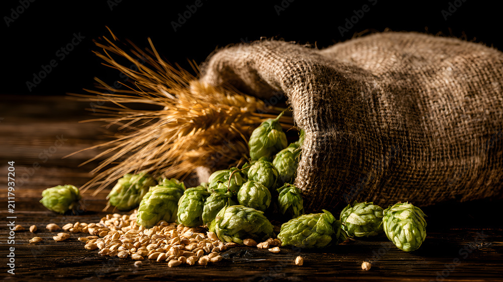 Fototapeta premium Scattered barley grains and golden wheat stalks rest alongside fresh green hop cones, which spill from a burlap sack on a dark rustic wooden surface