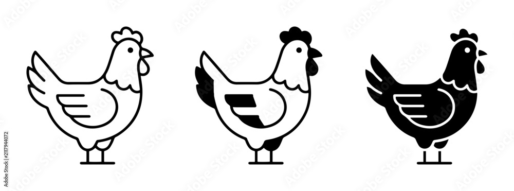 Fototapeta premium Chicken Icons Set, Farm Animal Vector Graphics, Poultry Illustrations, Black and White Hen Silhouettes