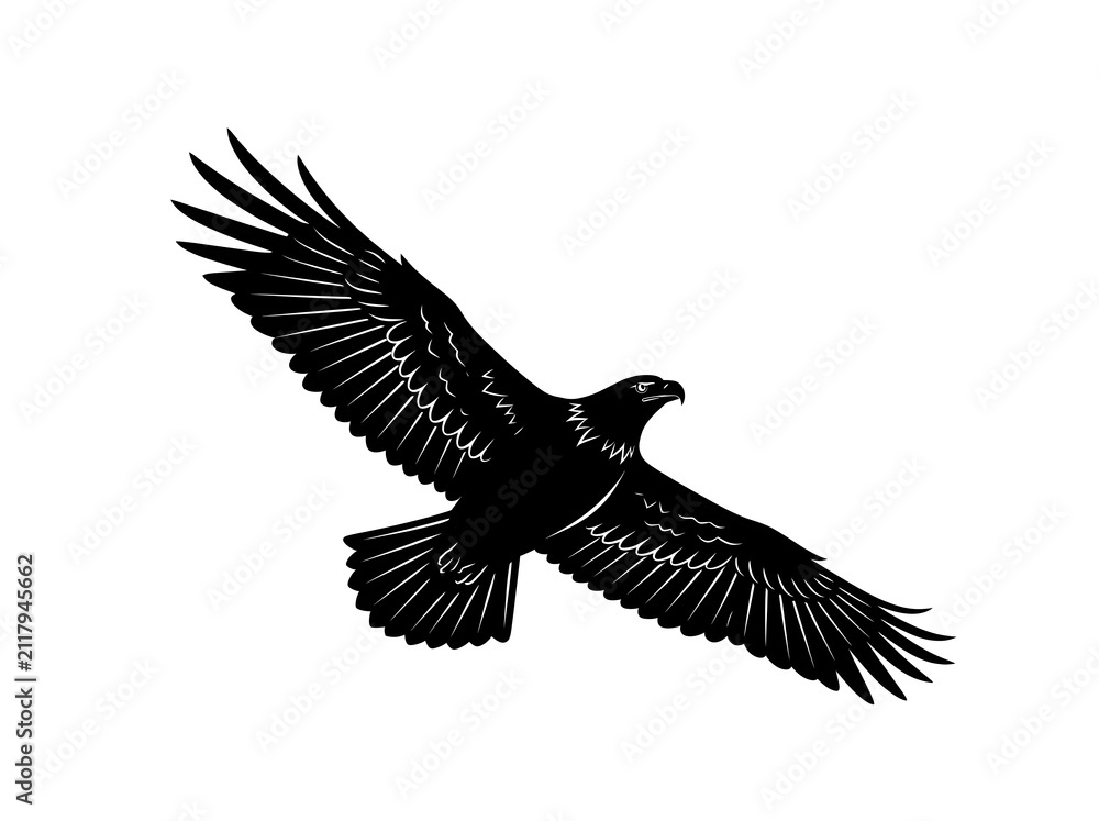 Fototapeta premium Eagle silhouette flying with spread wings, black bird of prey icon on white background, majestic hawk or falcon soaring in the sky