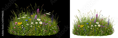 Wild green grass with colorful flowers
