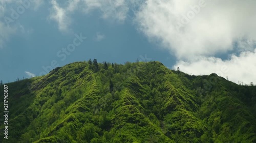 a panorama of mountain peaks covered with green trees