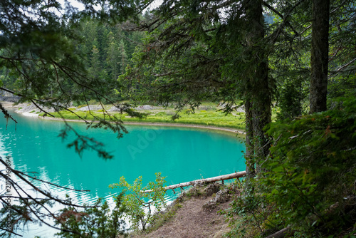 Bright turquoise mountain lake framed by pine trees and forest branches in Durmitor National Park, Montenegro