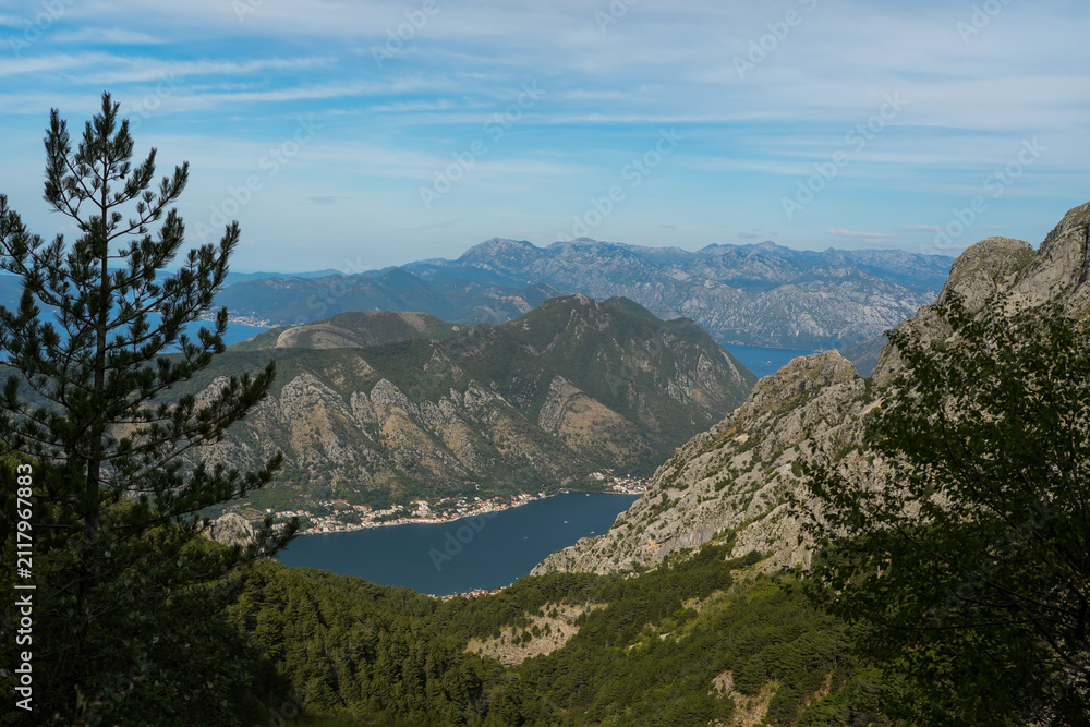 Obraz premium Scenic mountain viewpoint overlooking blue bay, coastal town and rugged rocky peaks framed by pine trees in Montenegro
