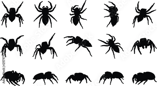 Spider Silhouette Collection with Realistic Arachnid Black Vector Icons for Halloween and Nature Design