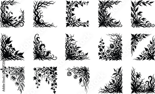 Botanical Floral Corner Silhouette Collection with Vines Leaves and Decorative Nature Frame Elements