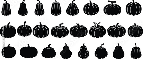 Pumpkin Silhouette Collection with Halloween Squash and Gourd Shapes Isolated for Autumn Harvest Design
