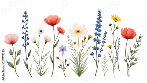 Watercolor wildflowers border illustration, poppies and delphiniums, delicate spring meadow flowers