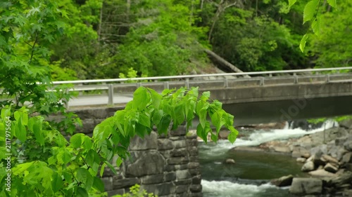 a car bridge over a mountain river in the forest