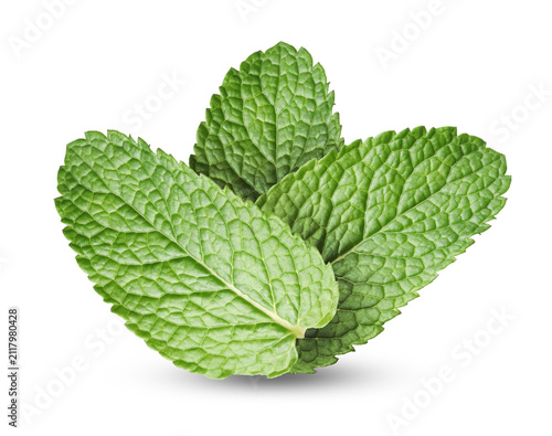 Картината върху платно Mint leaves on white background. Aromatic herb