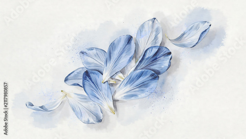 Delicate blue flower petals arranged on a soft watercolor wash isolated on a transparent background