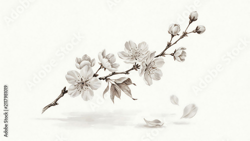 Delicate cherry blossom branch with falling petals in ink style isolated on a transparent background