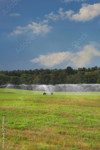 Irrigation Sprinklers in Farmfield