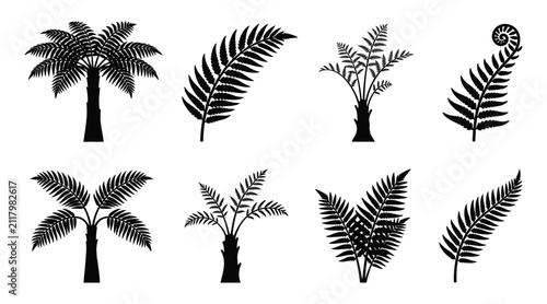 Tropical palm and tree fern silhouette set isolated on white background for summer beach vacation logo jungle poster travel banner and tropical botanical design