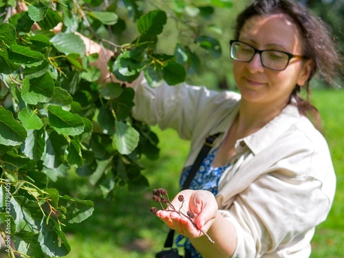 Obraz na plátne Woman Examining Small Woody Alder Tree Cones (Strobiles)  - female  Holding Blac