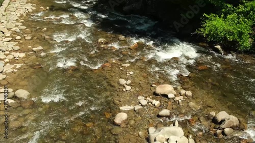 a shallow stream in the forest