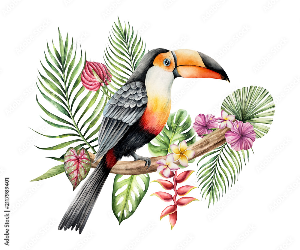 Obraz premium Toco toucan sits on a branch in the leaves of a palm tree, monstera and heliconia flower. Watercolor hand drawn bird, isolated illustration on transparent background. Perfect for tropical design