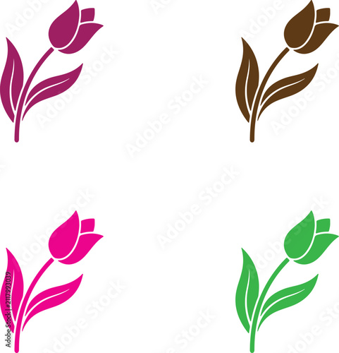 Minimal White Tulip Flowers on Pure White Background
