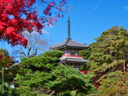 Картината върху платно 秋の仙台輪王寺（輪王寺禅庭園）【宮城県仙台市】