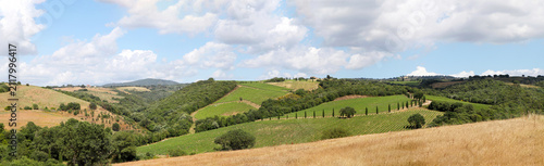 Bild auf Leinwand Vineyards with grapevine and hilly tuscan landscape near winery along Chianti wi