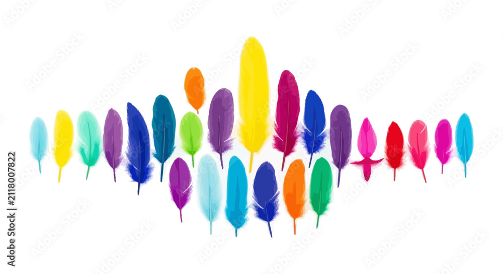Fototapeta premium Vibrant multi-colored bird feathers arranged in a row isolated on white background for creative design and natural decor projects