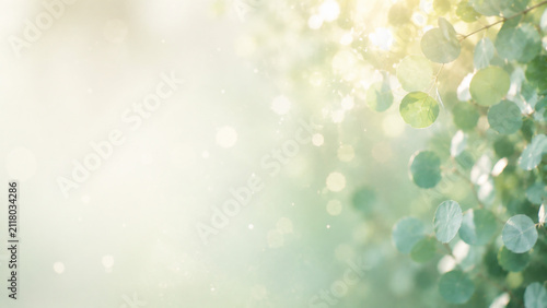 Naklejka 자연광 보케 추상 배경
