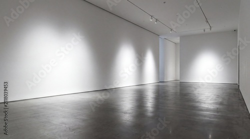 Gallery interior design, a vast modern art gallery featuring white walls and polished floors