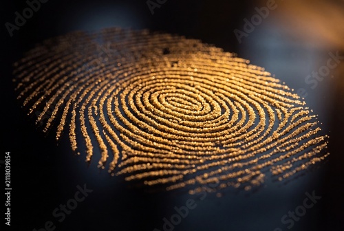 Glowing golden fingerprint pattern formed with shiny gold glitter particles on a dark glossy surface, representing digital security, identity, and biometric concept