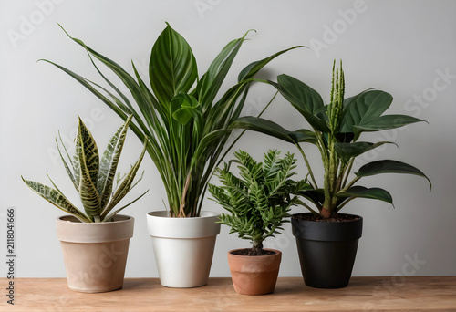 Of diverse potted houseplan...