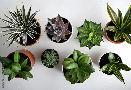 Overhead view of various po...