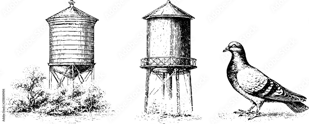 Obraz premium Rooftop water towers and city pigeon vintage engraving set for urban background banner and architectural design resources