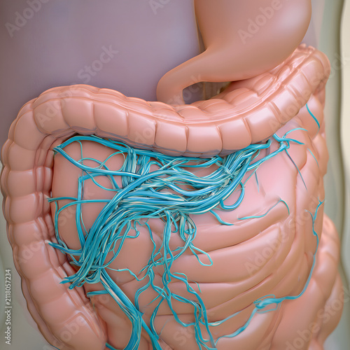 Feeling full due to Gastroparesis (nerves): A comprehensive illustration of the stomach with a clear depiction of disrupted or slow-moving vagus nerves entwined with the stomach wall, signifying delay