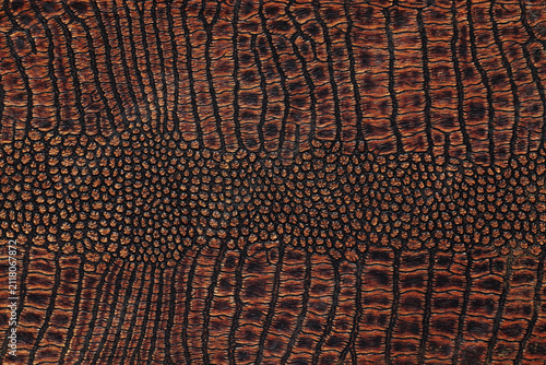 Photography Rich brown crocodile skin texture, vintage luxury leather backdrop for design