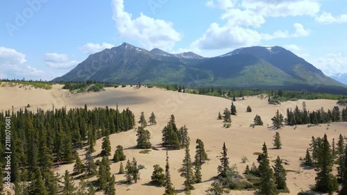 Aerial view of Carcross Desert with sand dunes, green forest, and mountains under a blue sky in Yukon, Canada