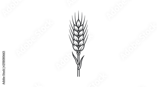 Foto Wheat stalk stands as a singular botanical illustration rendered in clean black lines against a white background