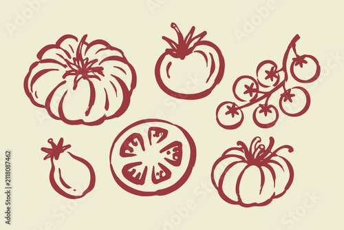 Hand drawn vintage tomato set vector line art illustration