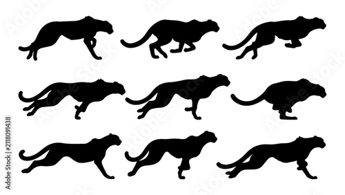 Obraz na płótnie Collection of Silhouettes of Running Dogs in Various Poses.