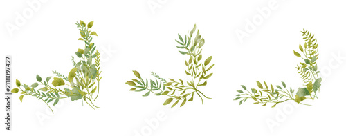 Delicate Green Sprigs Arranged on White Background