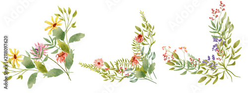 Colorful Botanical Flower Garlands Across Transparent Background