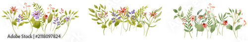 Colorful Floral Border with Green Leaves on Transparent Background