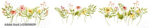 Colorful Wildflowers Border on Transparent Background