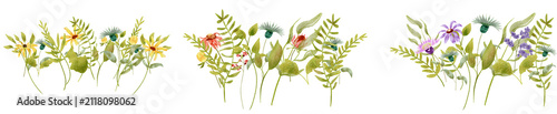 Colorful Wildflowers Row on Transparent Background