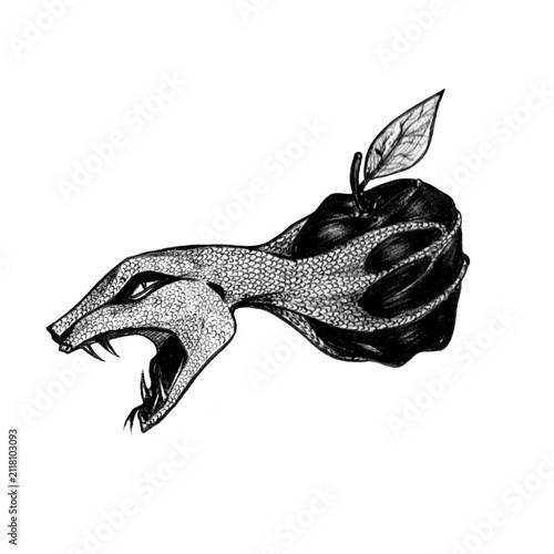 BLACK AND WHITE SNAKE AND APPLE TATTOO DESIGN VECTOR ILLUSTRATION. ANGRY SERPENT WRAPPING AROUND FORBIDDEN FRUIT FLASH ART