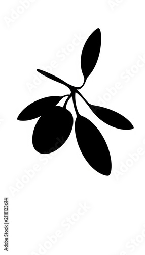 Silhouette of an olive with stem and leaf against a white background, artistic, ||white