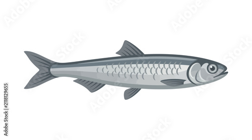 Obraz na plátně Detailed illustration of a single fish.