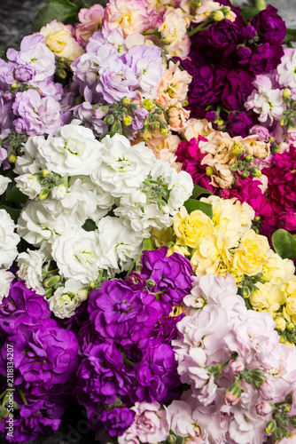 Collection of fresh statice flower bouquets in vibrant shades of purple, pink, lavender, peach, and white photographed during a professional floral production session. The images highlight the rich te