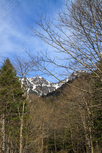 新穂高