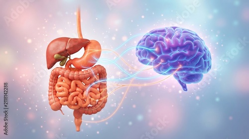 Intricate 3d illustration of human digestive system with illustrates connection