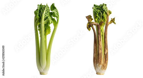 Fresh and aged celery stalks side by side for comparison.